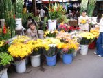 March aux fleurs,  Ha Tien