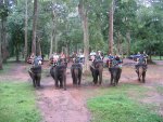 Ballade  dos d'lphant dans Angkor Thom
