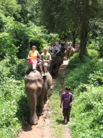 Ballade � dos d'�l�phants pr�s de Mae hong Son