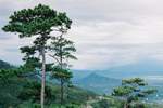 pr�s de Dalat