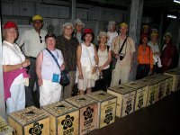 Visite d'une plantation de th� de Darjeeling � Kurseong