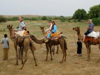 Ballade en dromadaires pr�s de Jaisalmer