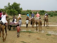 � pied, en dromadaire ou en voiture