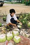 Pr�paration d'une noix de coco sur la plage de Lanco