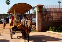 enfin le P�re No�l arrive