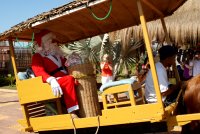 pas de traineau mais une belle charrette tir�e par un petit cheval